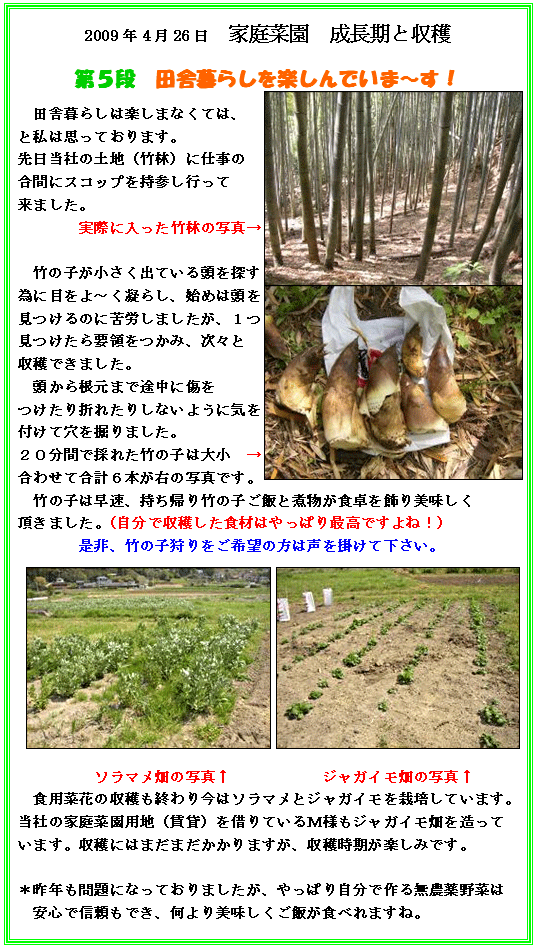 2009年4月26日　家庭菜園　成長期と収穫
第５段　田舎暮らしを楽しんでいま～す！
田舎暮らしは楽しまなくては、と私は思っております。
先日当社の土地（竹林）に仕事の合間にスコップを持参し行って来ました。

実際に入った竹林の写真→

竹の子が小さく出ている頭を探す為に目をよ～く凝らし、始めは頭を見つけるのに苦労しましたが、
１つ見つけたら要領をつかみ、次々と収穫できました。
頭から根元まで途中に傷をつけたり折れたりしないように気を付けて穴を掘りました。
２０分間で採れた竹の子は大小合わせて合計６本が右の写真です。
竹の子は早速、持ち帰り竹の子ご飯と煮物が食卓を飾り美味しく頂きました。
（自分で収穫した食材はやっぱり最高ですよね！）
是非、竹の子狩りをご希望の方は声を掛けて下さい。

ソラマメ畑の写真↑　ジャガイモ畑の写真↑食用菜花の収穫も終わり今はソラマメとジャガイ
モを栽培しています。当社の家庭菜園用地（賃貸）を借りているＭ様もジャガイモ畑を造っています。
収穫にはまだまだかかりますが、収穫時期が楽しみです。

＊昨年も問題になっておりましたが、やっぱり自分で作る無農薬野菜は安心で信頼もでき、何より美味しくご飯が食べれますね。