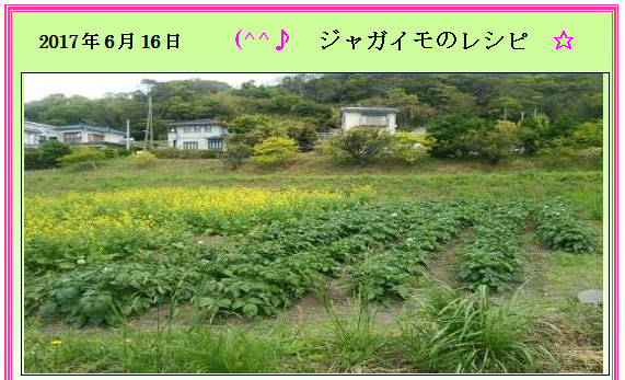 2017年6月16日　(^^♪ジャガイモのレシピ☆