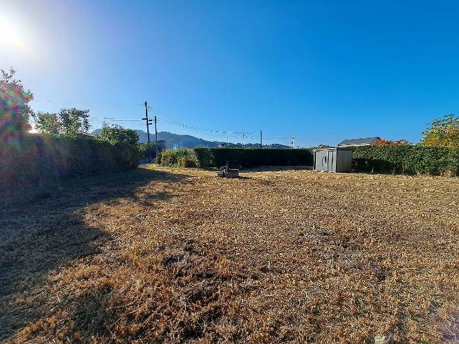 �g���z�[���y�[�W�@���n�@��[���s �s���@�ʐ^3