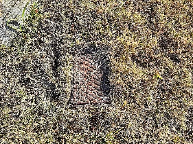 �g���z�[���y�[�W�@���n�@��[���s �s���@�ʐ^7