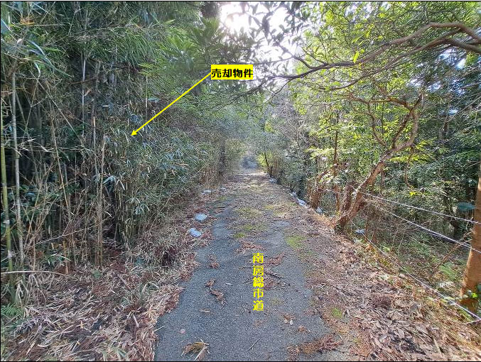 �g���z�[���y�[�W�@���n�@��[���s �r��@�ʐ^4