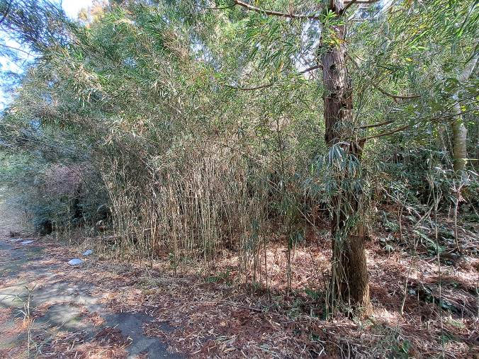 �g���z�[���y�[�W�@���n�@��[���s �r��@�ʐ^4