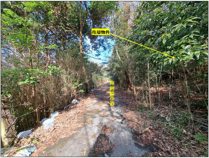 �g���z�[���y�[�W�@���n�@��[���s �r��@�ʐ^5