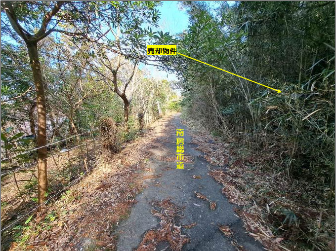 �g���z�[���y�[�W�@���n�@��[���s �r��@�ʐ^6