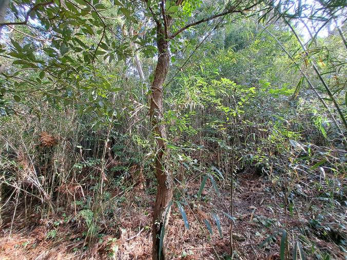 �g���z�[���y�[�W�@���n�@��[���s �r��@�ʐ^6