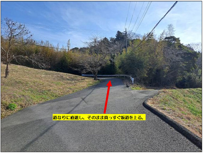 �g���z�[���y�[�W�@���n�@��[���s �r��@�ʐ^8